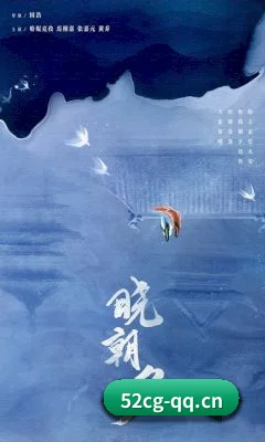 专业防雷排片服务, 专治各种无脑控评